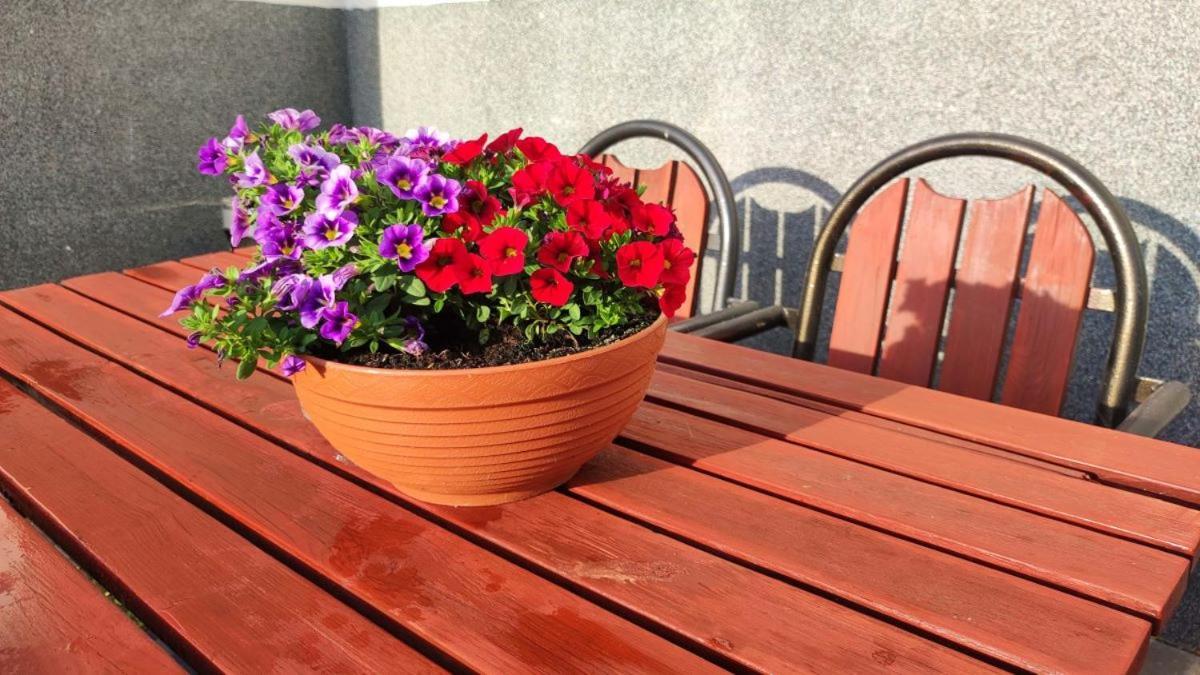 Osrodek Wczasowy Krasniczanka Hotel Muszyna Luaran gambar