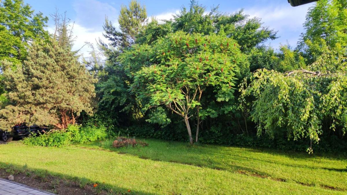 Osrodek Wczasowy Krasniczanka Hotel Muszyna Luaran gambar